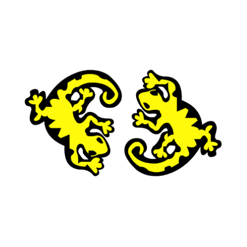 Álvaro de la Cuadra